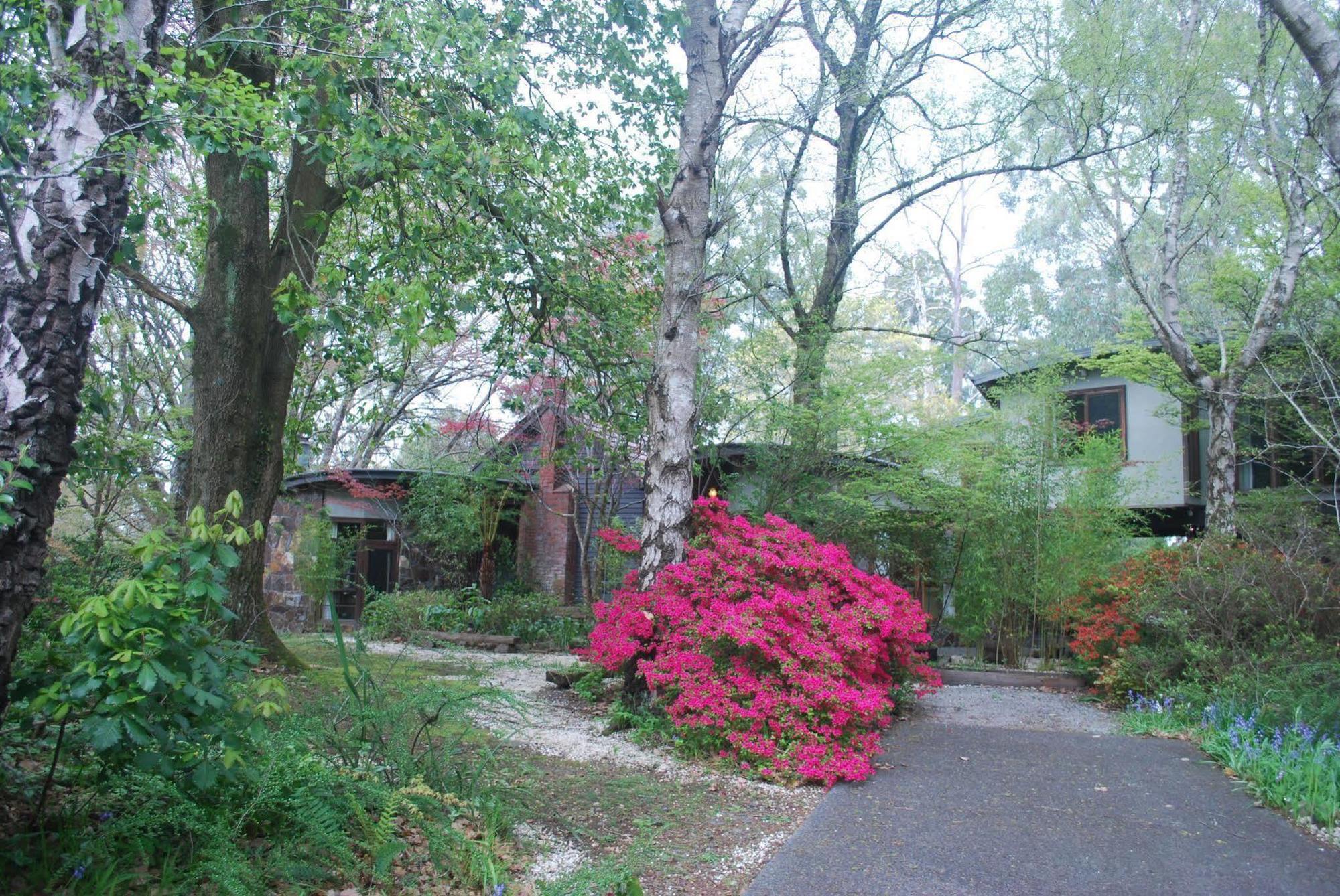 Rocky Creek Art Garden B&B Mount Dandenong Exterior photo
